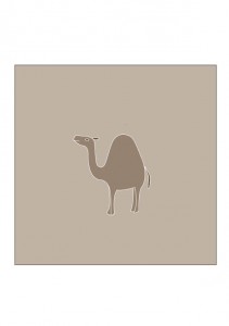 dromedario3